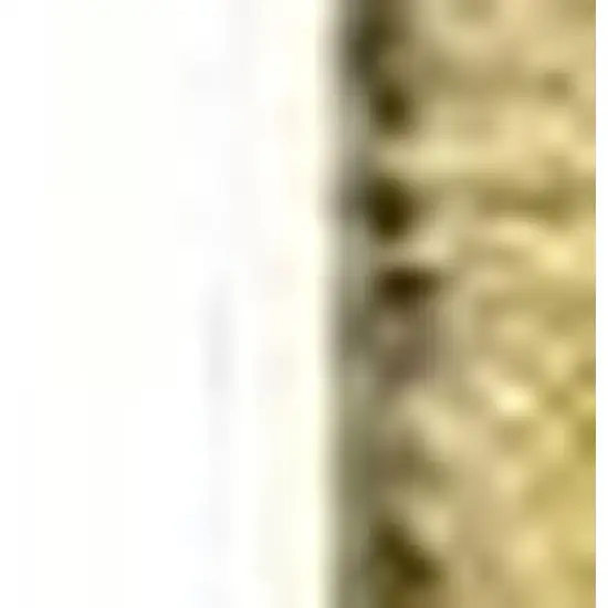 Gold And Ivory Floral Washable Area Rug With UV Protection Photo 4