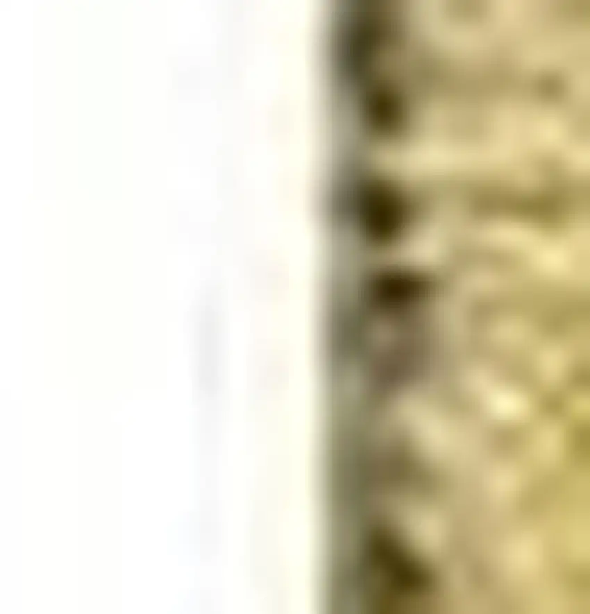 Gold And Ivory Floral Washable Area Rug With UV Protection Photo 4