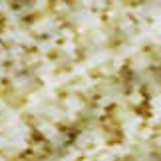 Gold And Ivory Floral Washable Area Rug With UV Protection Photo 3