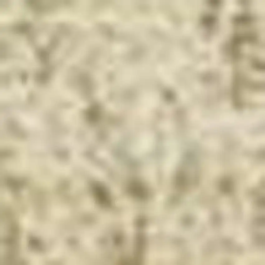 Gold And Wheat Ombre Washable Indoor Outdoor Area Rug Photo 3