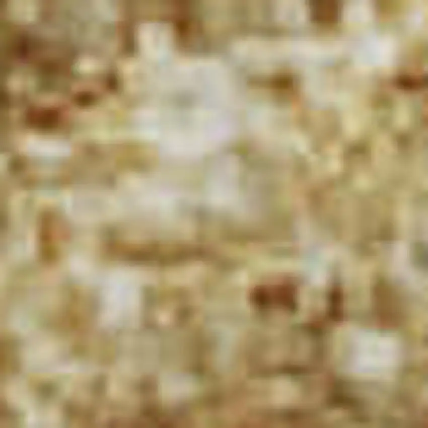 Gold Beige And Wheat Ombre Washable Area Rug With UV Protection Photo 4