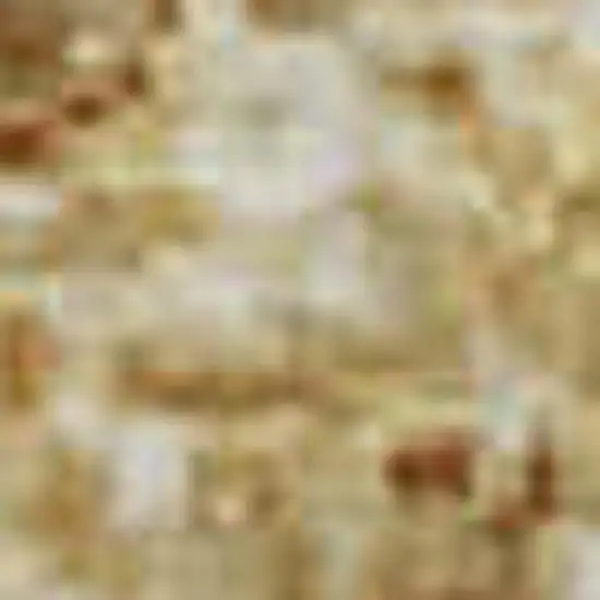 Gold Beige And Wheat Ombre Washable Area Rug With UV Protection Photo 1