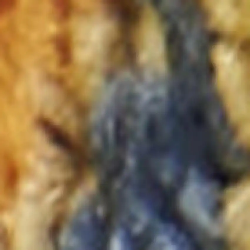 Gold Floral Power Loom Area Rug Photo 1