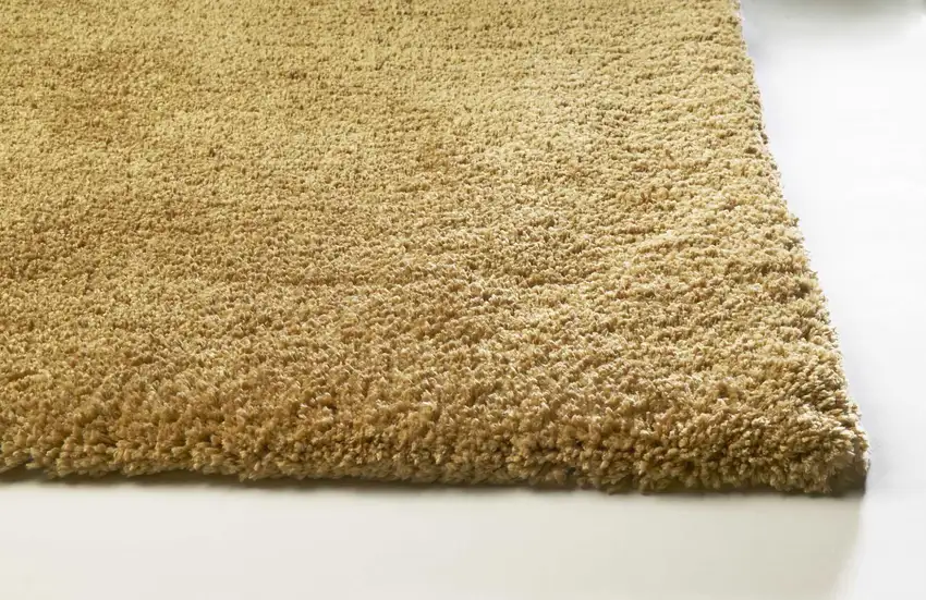 Gold Hand Woven Area Rug Photo 4