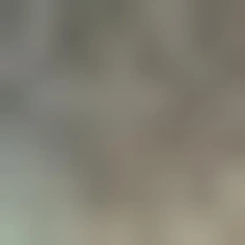 Gold Southwestern Power Loom Stain Resistant Area Rug Photo 4