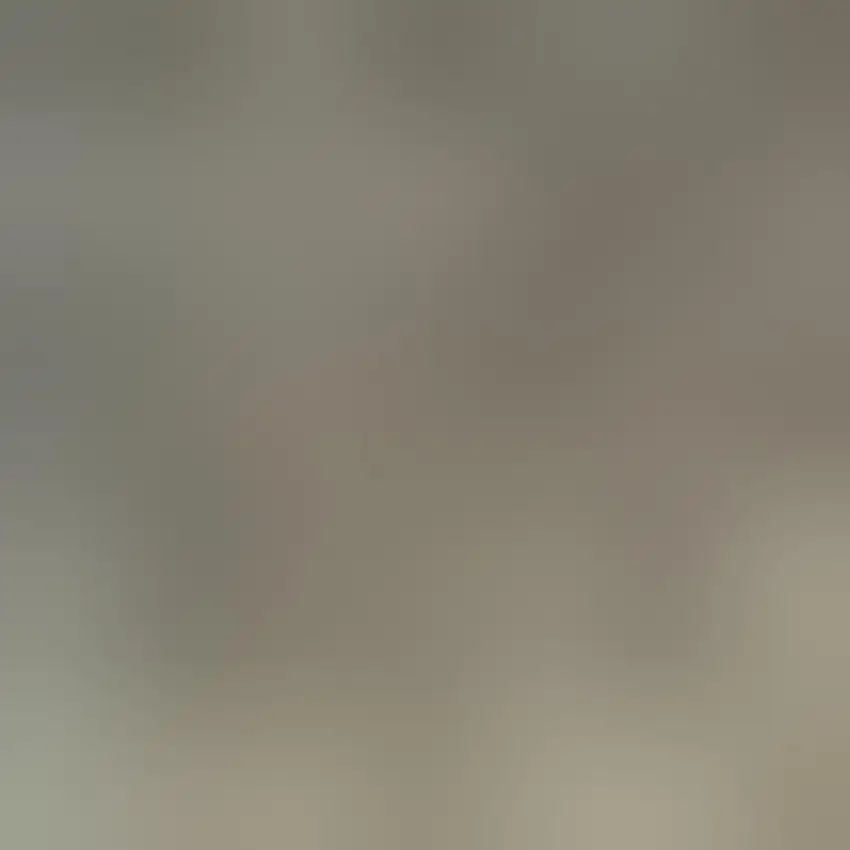 Gold Southwestern Power Loom Stain Resistant Area Rug Photo 3