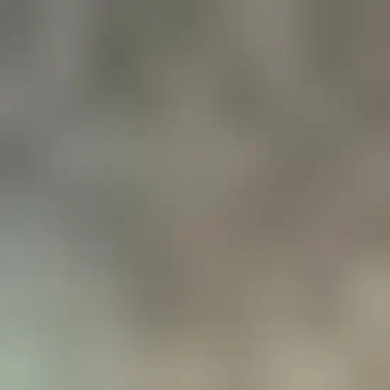 Gold Southwestern Power Loom Stain Resistant Area Rug Photo 4