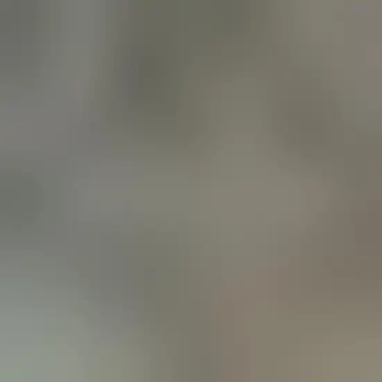 Gold Southwestern Power Loom Stain Resistant Area Rug Photo 3