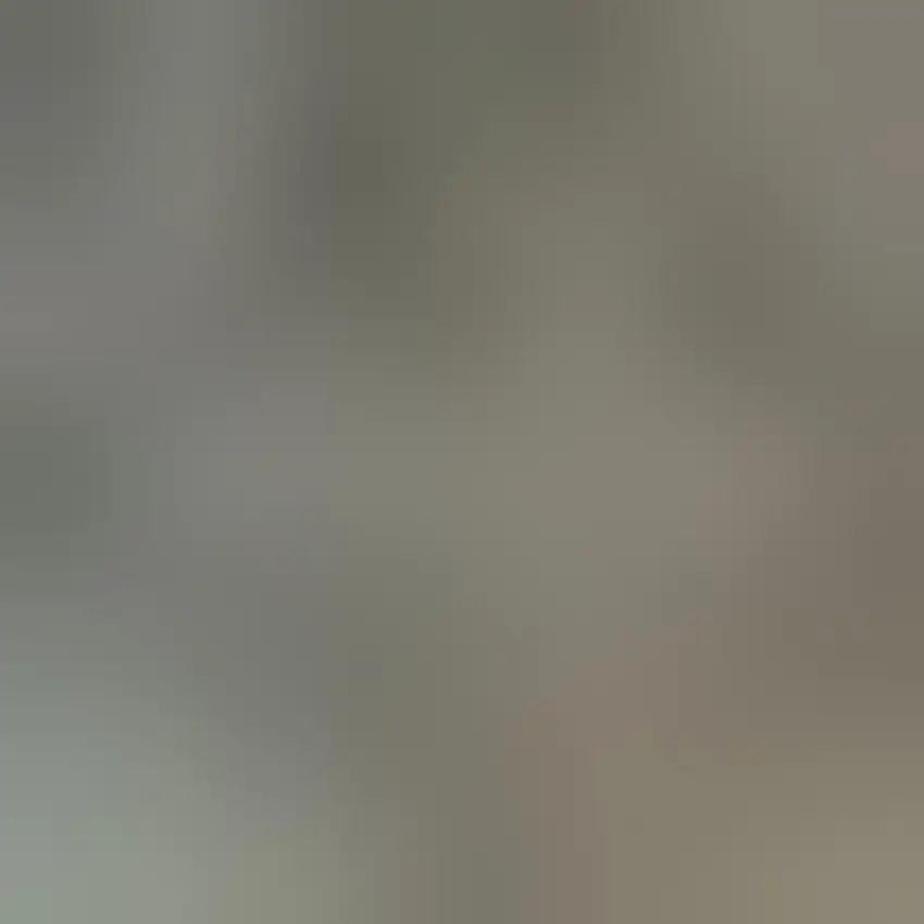 Gold Southwestern Power Loom Stain Resistant Area Rug Photo 3