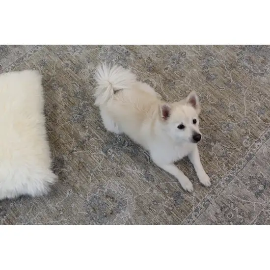 Gold Southwestern Power Loom Stain Resistant Area Rug Photo 4