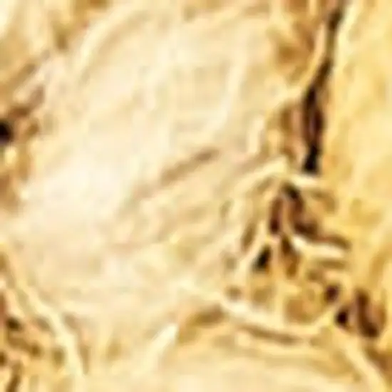 Gold Wool Area Rug Photo 3