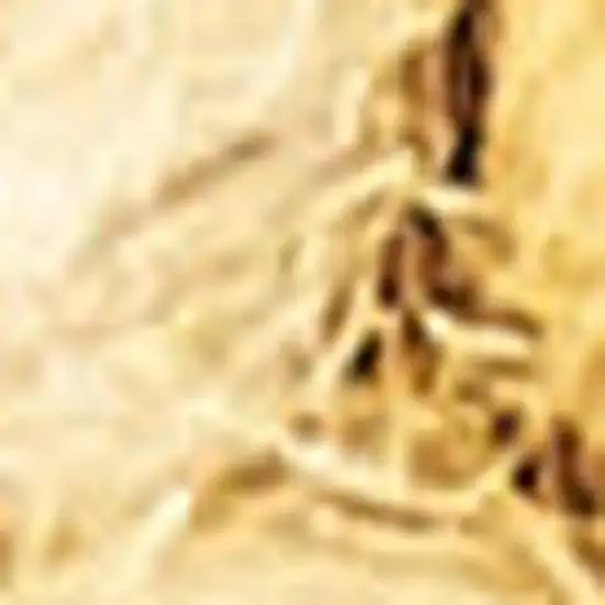 Gold Wool Area Rug Photo 2