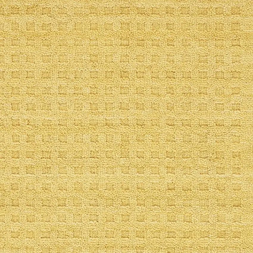 Gold Wool Area Rug Photo 7