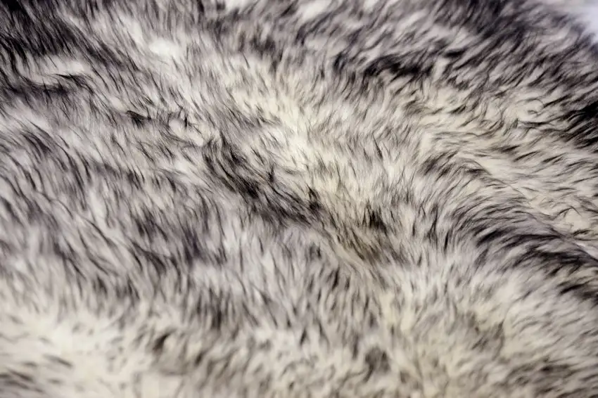 Gradient Grey Animal Print Area Rug Photo 8