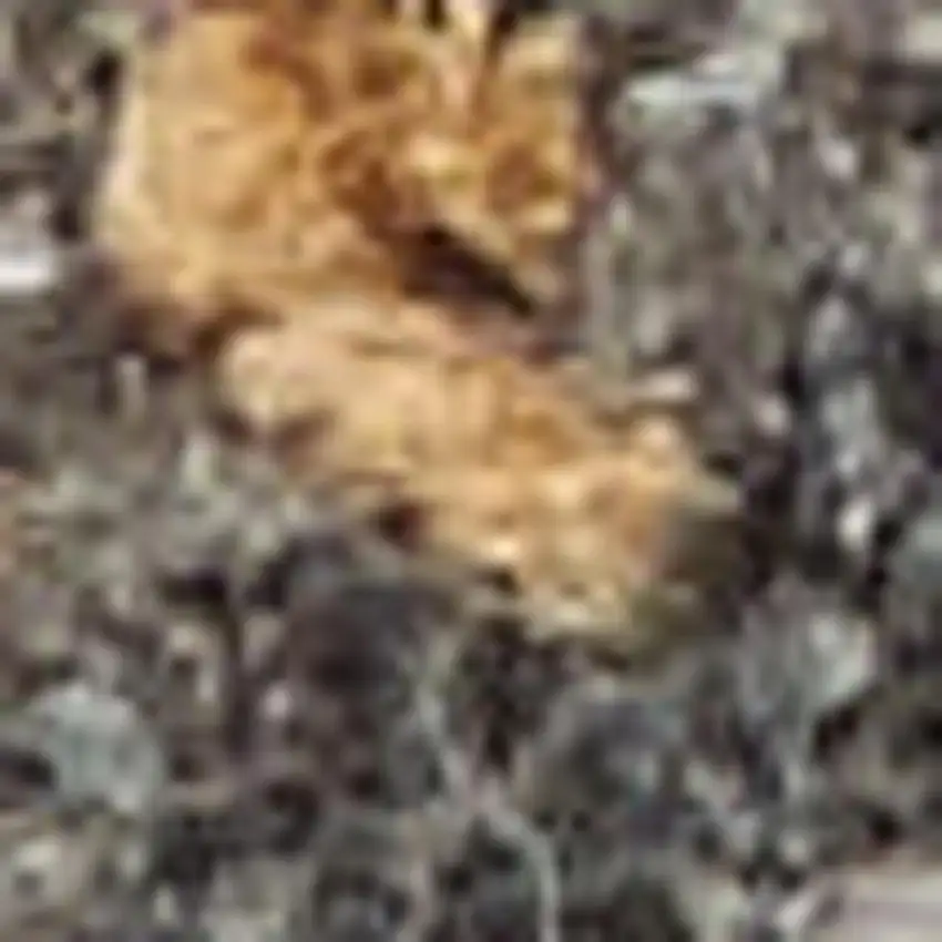 Gray Abstract Area Rug Photo 2