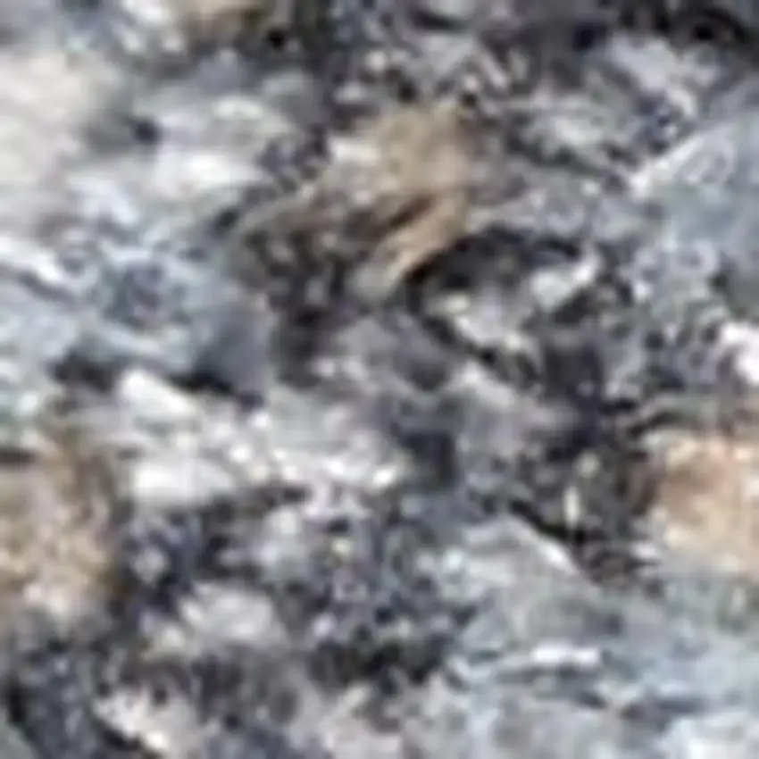 Gray Abstract Area Rug Photo 2