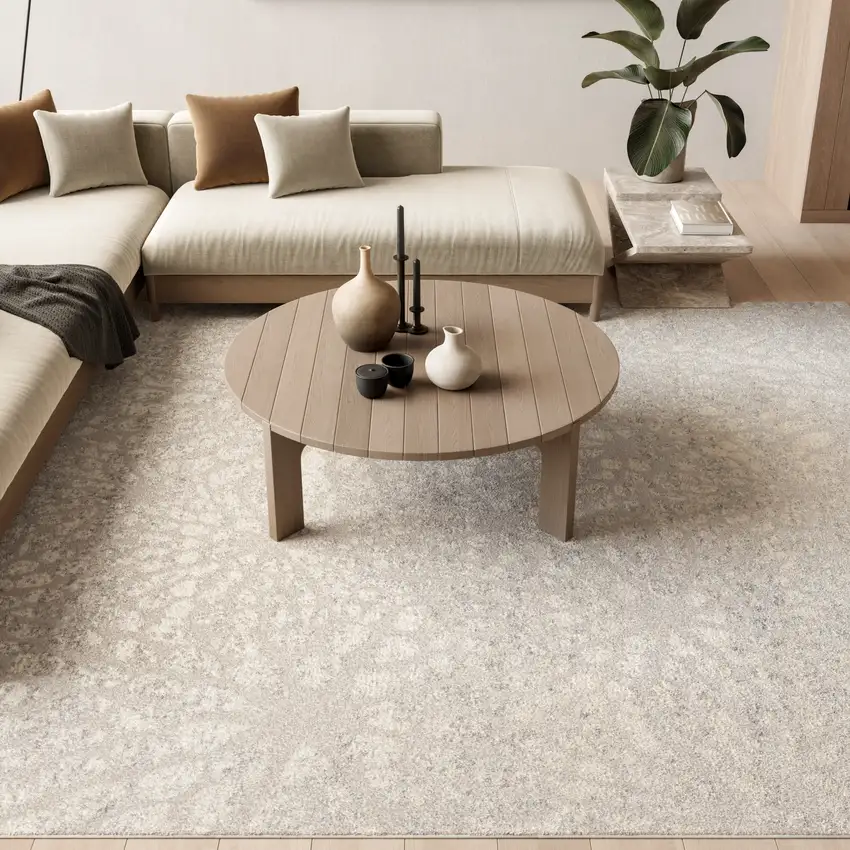 Gray Abstract Area Rug Photo 4