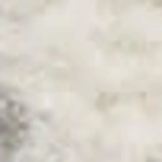 Gray Abstract Power Loom Area Rug Photo 2