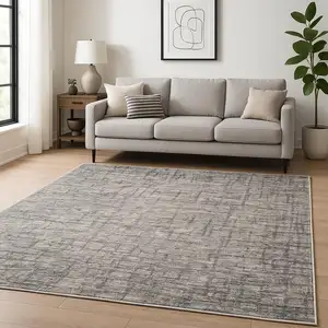Photo of Gray Abstract Power Loom Area Rug