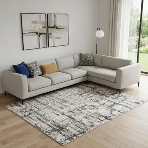 Photo of Gray Abstract Power Loom Area Rug