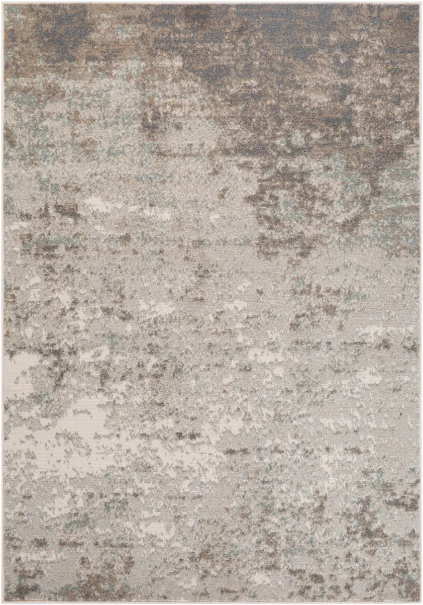 Gray Abstract Power Loom Area Rug Photo 1