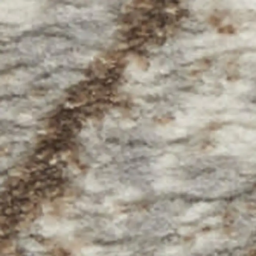 Gray And Brown Abstract Area Rug Photo 1