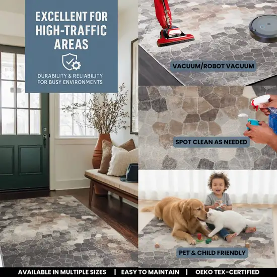 Gray And Beige Geometric Area Rug Photo 3