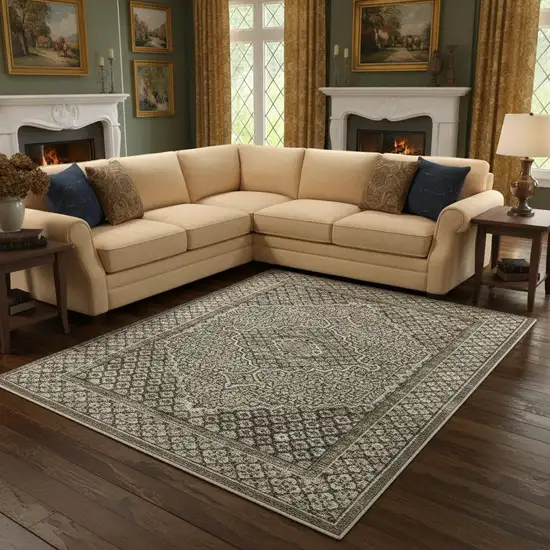 Gray And Beige Medallion Area Rug With Fringe Photo 1