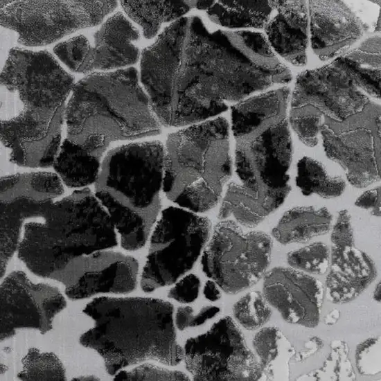 Black And Gray Abstract Area Rug With Fringe Photo 3