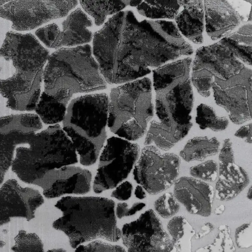 Black And Gray Abstract Area Rug With Fringe Photo 3
