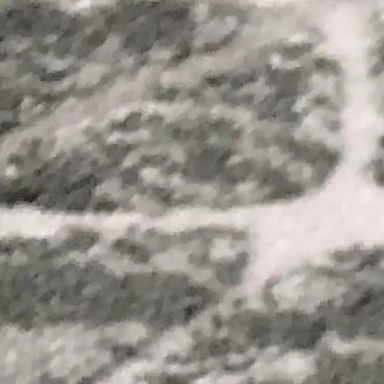 Gray And Black Abstract Area Rug Photo 3