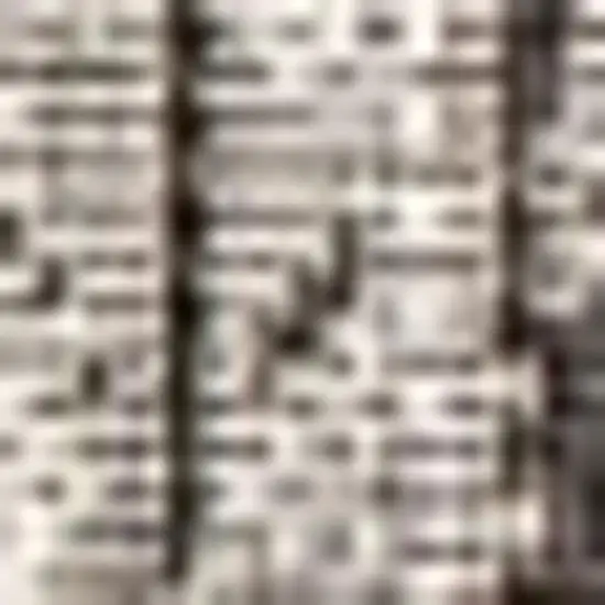 Gray And Black Medallion Indoor Outdoor Area Rug Photo 2