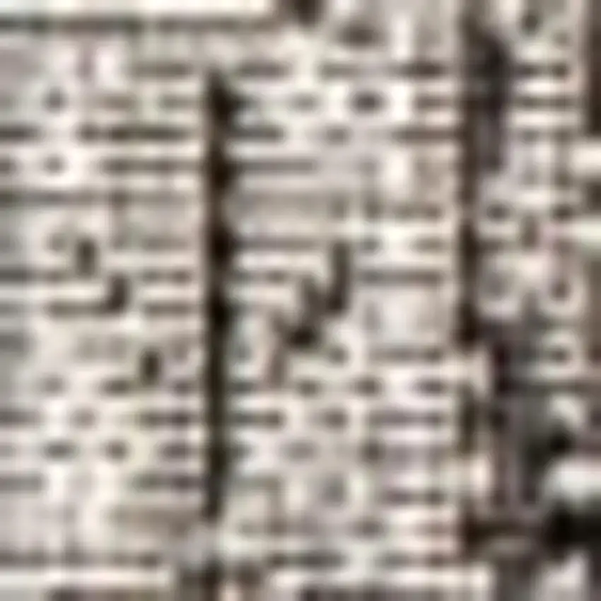 Gray And Black Medallion Indoor Outdoor Area Rug Photo 3