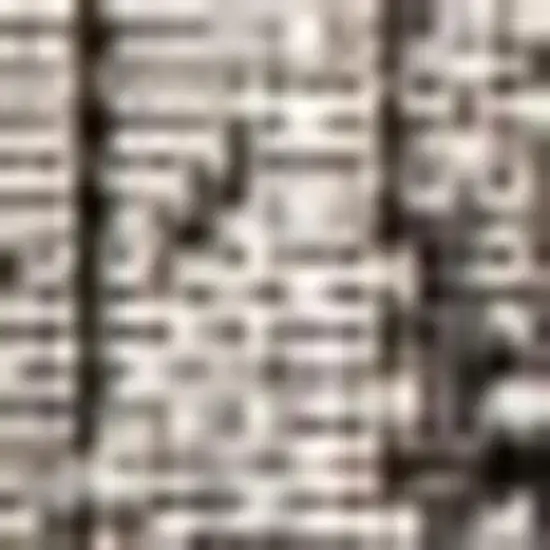 Gray And Black Medallion Indoor Outdoor Area Rug Photo 2