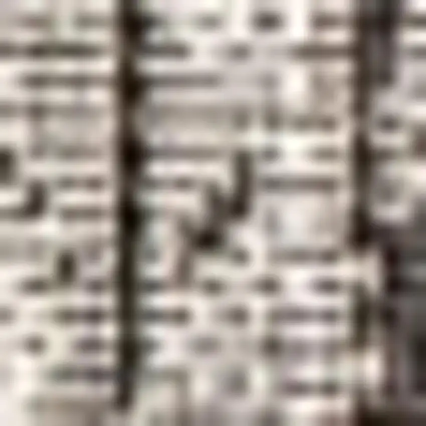 Gray And Black Medallion Indoor Outdoor Area Rug Photo 2