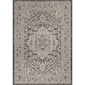 Photo of Gray And Black Medallion Indoor Outdoor Area Rug