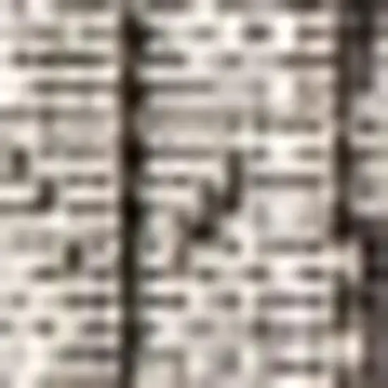 Gray And Black Medallion Indoor Outdoor Area Rug Photo 2