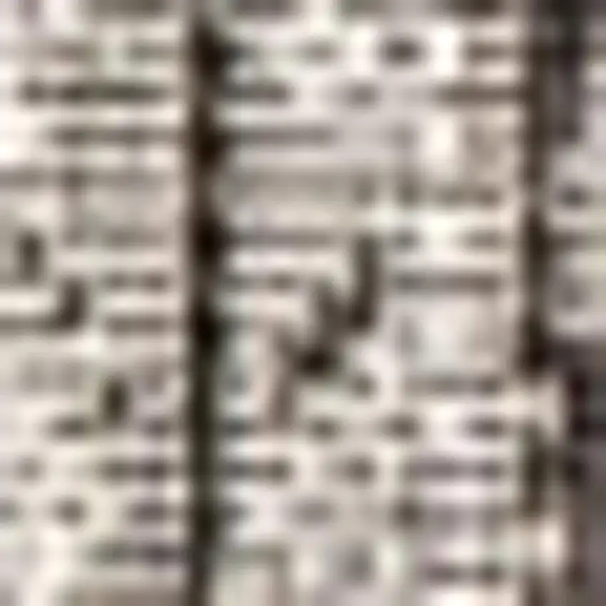 Gray And Black Medallion Indoor Outdoor Area Rug Photo 2