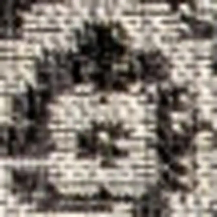 Gray And Black Medallion Indoor Outdoor Area Rug Photo 2