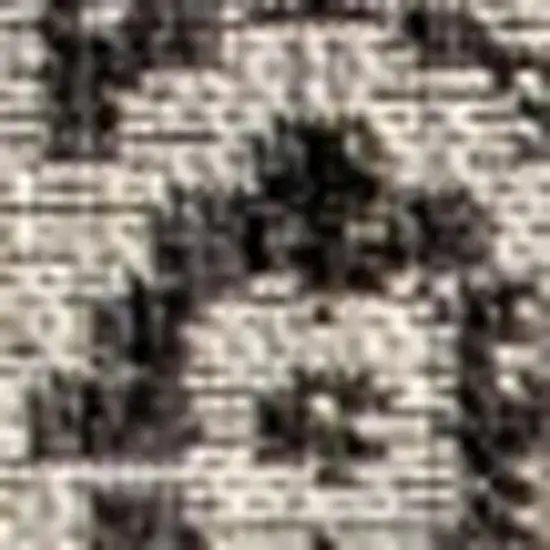 Gray And Black Medallion Indoor Outdoor Area Rug Photo 2