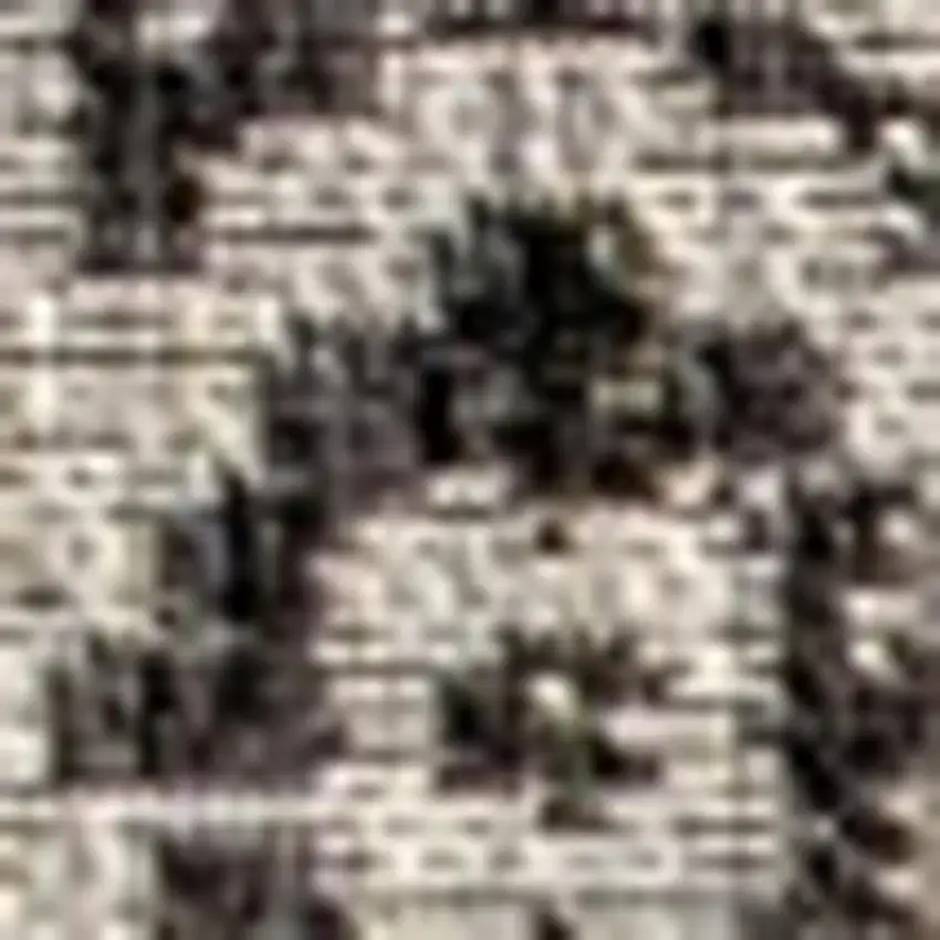 Gray And Black Medallion Indoor Outdoor Area Rug Photo 2