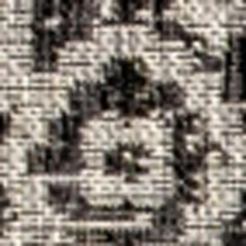 Gray And Black Medallion Indoor Outdoor Area Rug Photo 3