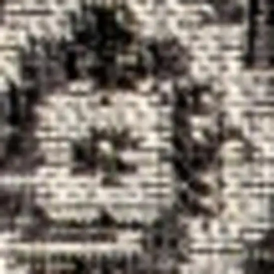 Gray And Black Medallion Indoor Outdoor Area Rug Photo 2