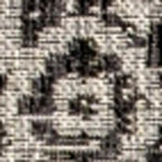 Gray And Black Medallion Indoor Outdoor Area Rug Photo 3