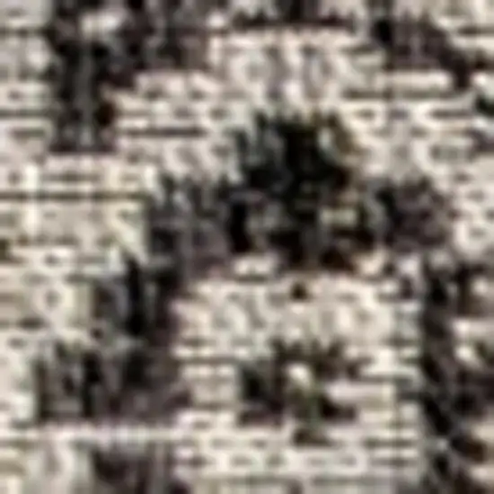 Gray And Black Medallion Indoor Outdoor Area Rug Photo 2