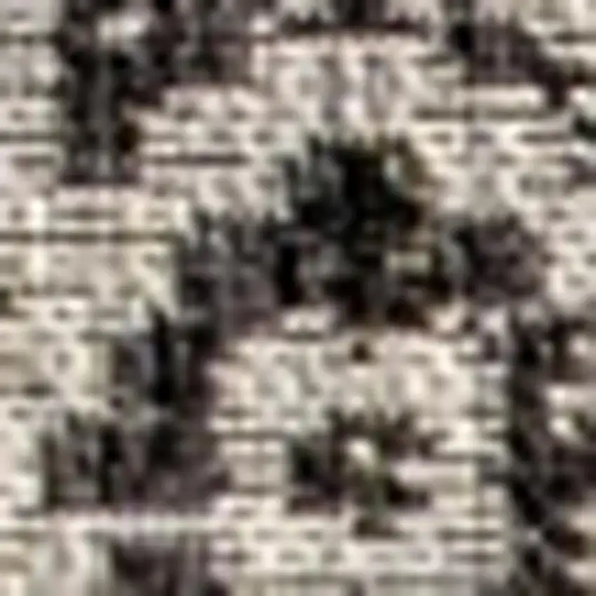 Gray And Black Medallion Indoor Outdoor Area Rug Photo 2