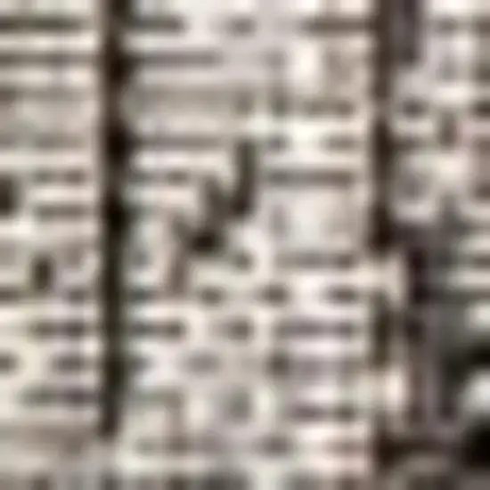 Gray And Black Medallion Indoor Outdoor Area Rug Photo 2