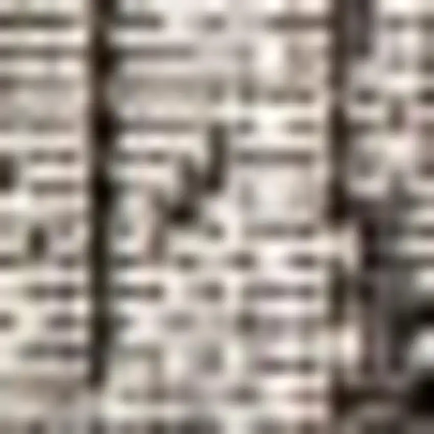 Gray And Black Medallion Indoor Outdoor Area Rug Photo 2