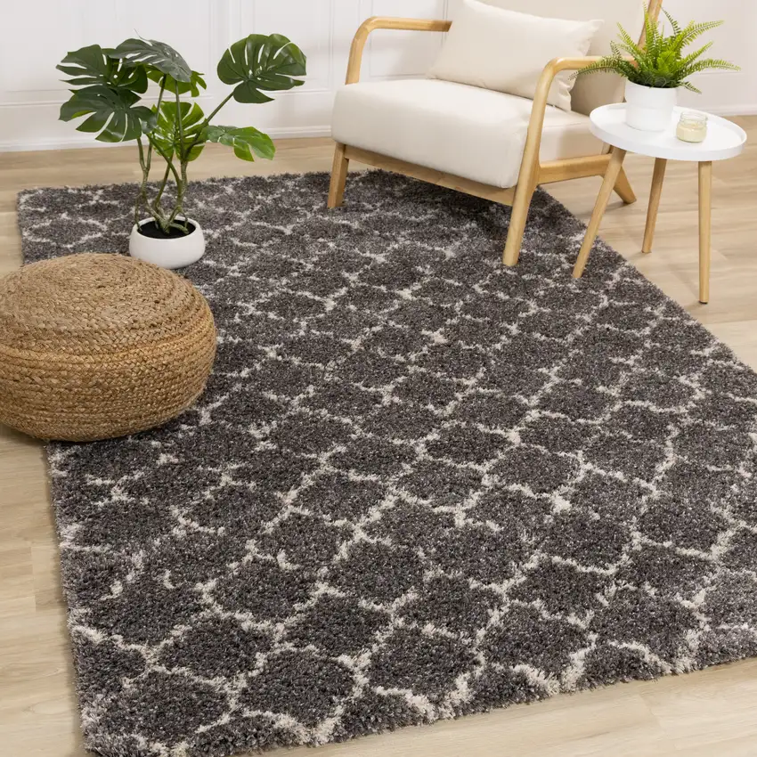 Gray And Cream Ogee Area Rug Photo 5