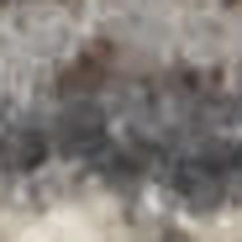 Gray And Gold Abstract Area Rug With Fringe Photo 2